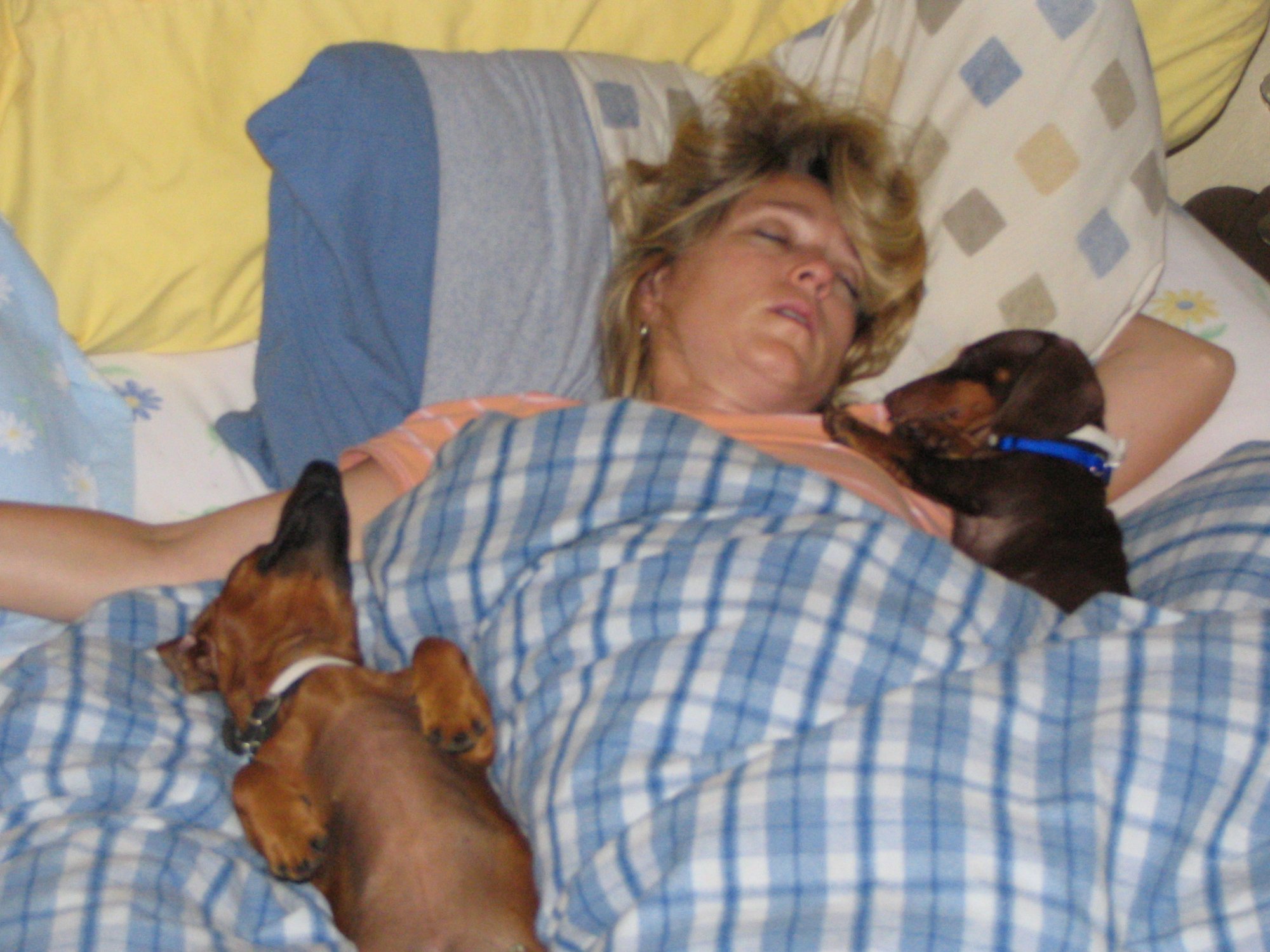 A woman and two puppies taking a nap in bed