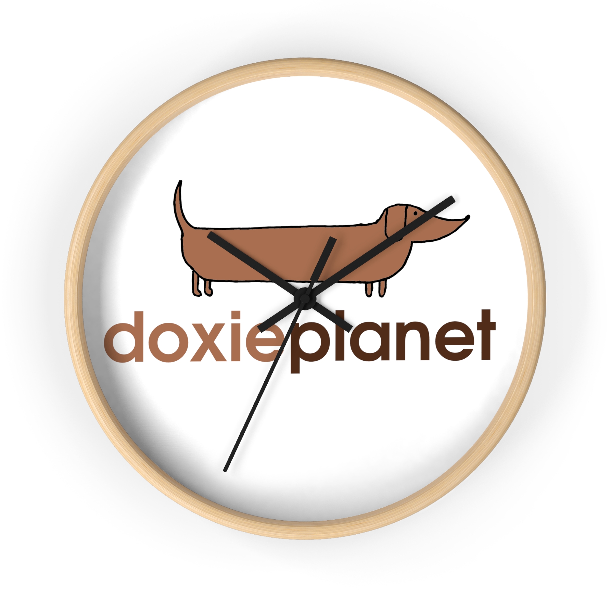 595692537742882731_2048.jpeg | DoxiePlanet